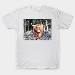 Scottish Highland Cattle Cow 2329 T-Shirt